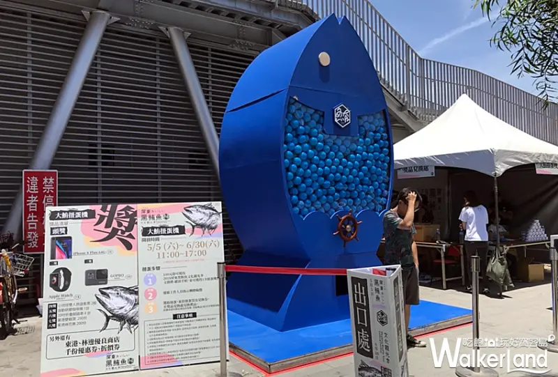 2018屏東黑鮪魚文化觀光季 / WalkerLand窩客島整理提供